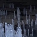 다정한파도