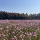 태산목장 이미지