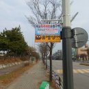 초지초등학교 이미지