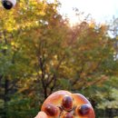 문암2리해변 이미지