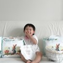 나비잠 | 아기기저귀 추천 나비잠 시그니처 팬티 사용 후기