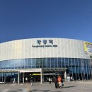 남매안경본점 렌즈미 | 새해맞이 강릉 2박3일 여행(1) 신라모노그램 레지던스 - 팔복정 - 테라로사 - 엄지네 포장마차 솔직후기