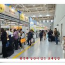 팔도 밥상 이미지