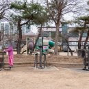 망골경로당 이미지