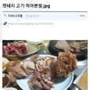 멧돼지 고기 먹어본 썰 이미지