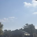 인원목장 | 제주 서귀포 여행 카페 | 대한목장 후기