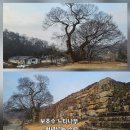 약우물터 | 원주 거돈사지(사적 제108호)삼층석탑(보물 제750호)