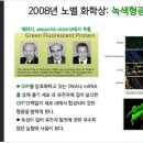 (주)에이치커머스 - 고양시 일산동구 | (주)에이치커머스