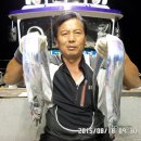 금갈치은고등어 이미지