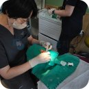 마곡푸른마음치과의원 | 마곡주말치과, 마곡푸른마음치과가 주말진료를 하는 이유