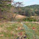 창녕농장 이미지