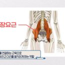 웰필라테스&피지오