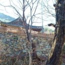 광산사 Daum카페