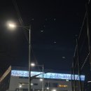 푸른바다 | 노량진 푸른바다 방어 후기 / 초장집 하늘채 웨이팅