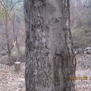 고산골 1 이미지