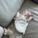 서울오라클치과교정과치과의원 이미지