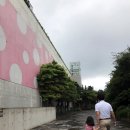 규수방주 | JEJU 17w/ 본태박물관 5살 아이와제주