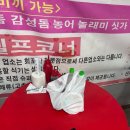 GS25 광주비엔날레점 | 광주 첨단 맛집 회 포차 안실장 끼끼네김밥 내돈내산 후기