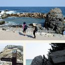 푸른로드