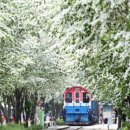 전주의 봄