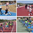 인라인스케이트장 이미지