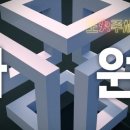 11차원