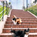 멍shower(멍샤워) 이미지