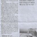 자개장롱 Daum카페