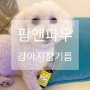 팜앤팜동물병원 | 제품 리뷰 팜앤파우 필수 반려견영양제 강아지참기름