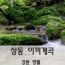 24년 7월18일 장산/상동이끼계곡(강원 영월) 산행안내입니다. 이미지