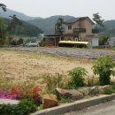 원주대표공인중개사사무소 이미지