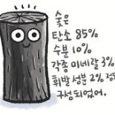 미세구멍 많은 숯, 습기도 냄새도 빨아들여요 이미지