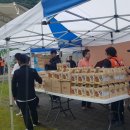 소랭이 마을 | (공주) 정안 밤꽃 축제🌰