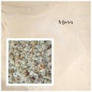 정종농장 이미지