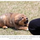 오수수산 이미지