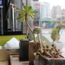 행복나눔안경 이미지