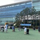 메인컴퍼니 이미지