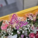 한림병원 앞 이미지