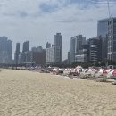 파라다이스 이미지