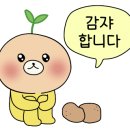 바른선줄눈 이미지