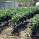 갯벌농장 이미지