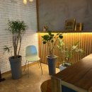 속초751샌드위치 이미지