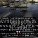 고빨래방 TV리포트