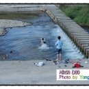 청미천 축구장 이미지