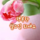 세상 사는 이야기 이미지