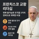 신도세탁 | 프란치스코 교황 개혁 후기 | 2025년 꿀팁 완벽 정리?