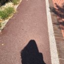 청담동717