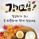 📢 일요일 실시간 방송 공지 이미지