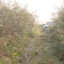 청도천10 이미지