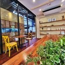 힐링 펫 카페 이미지